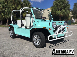 affordable golf cart rental, golf cart rent hollywood, cart rental hollywood