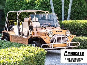 golf cart rental hollywood, hollywood golf cart rental, street legal golf car