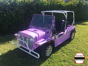 affordable golf cart rental, golf cart rent hollywood, cart rental hollywood