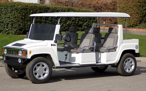 affordable golf cart rental, golf cart rent hollywood, cart rental hollywood